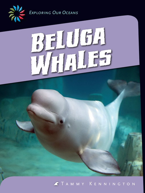 Title details for Beluga Whales by Tammy Kennington - Available
